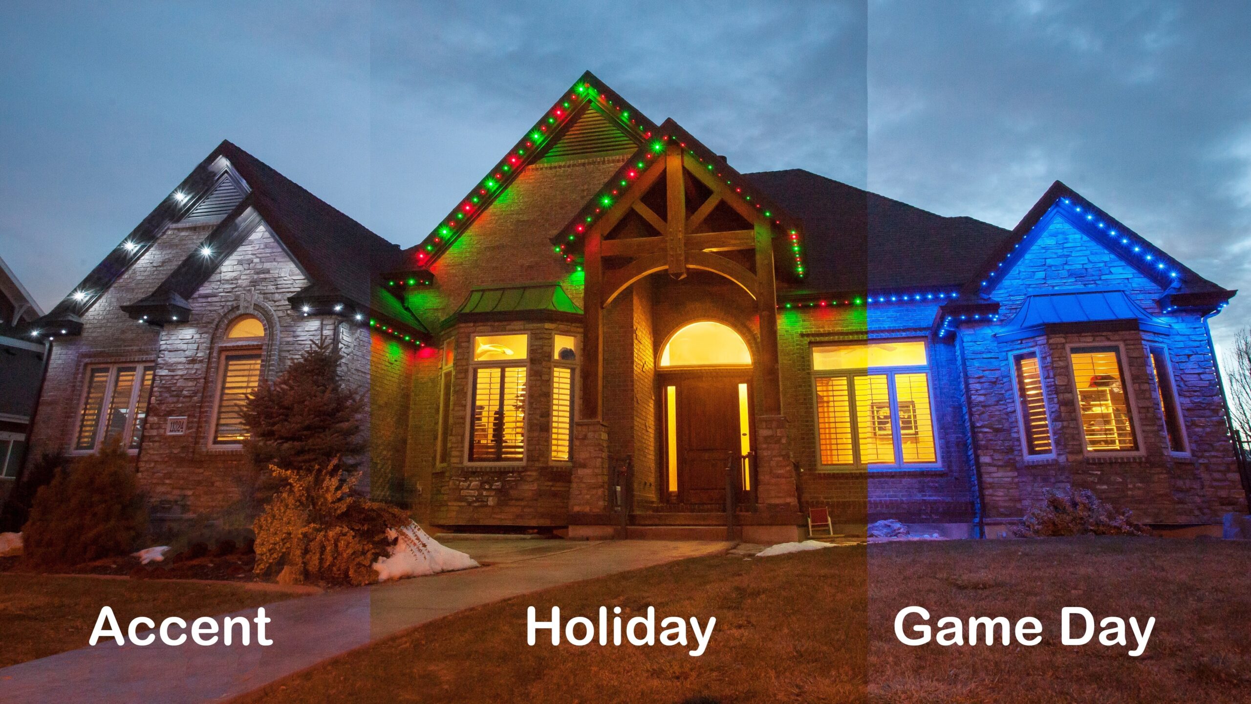 Jellyfish Lighting – Lighting Up Lives