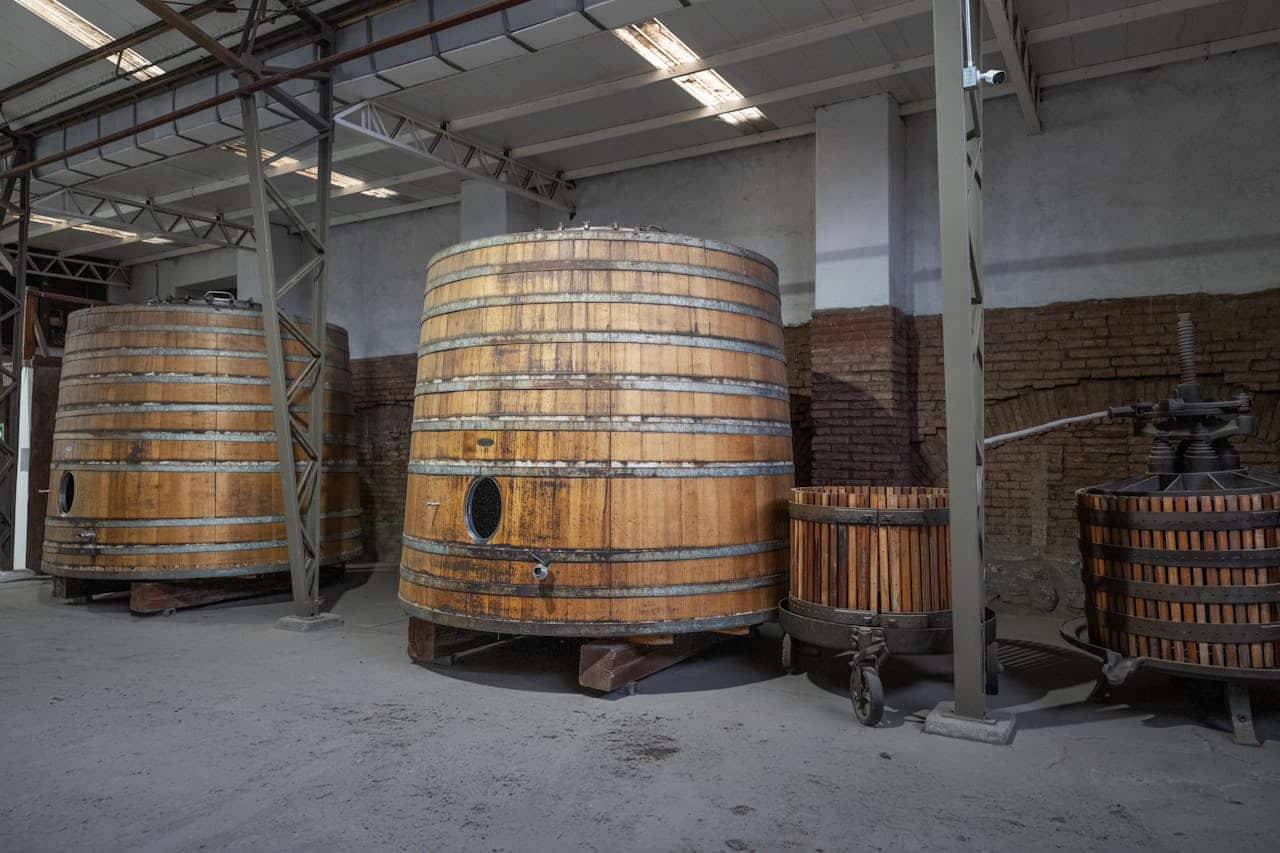 From Vine to Consumer: Green Practices and New Wine Marketing Trends