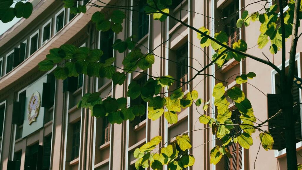 Sustainable Growth Through Internal Capability Building