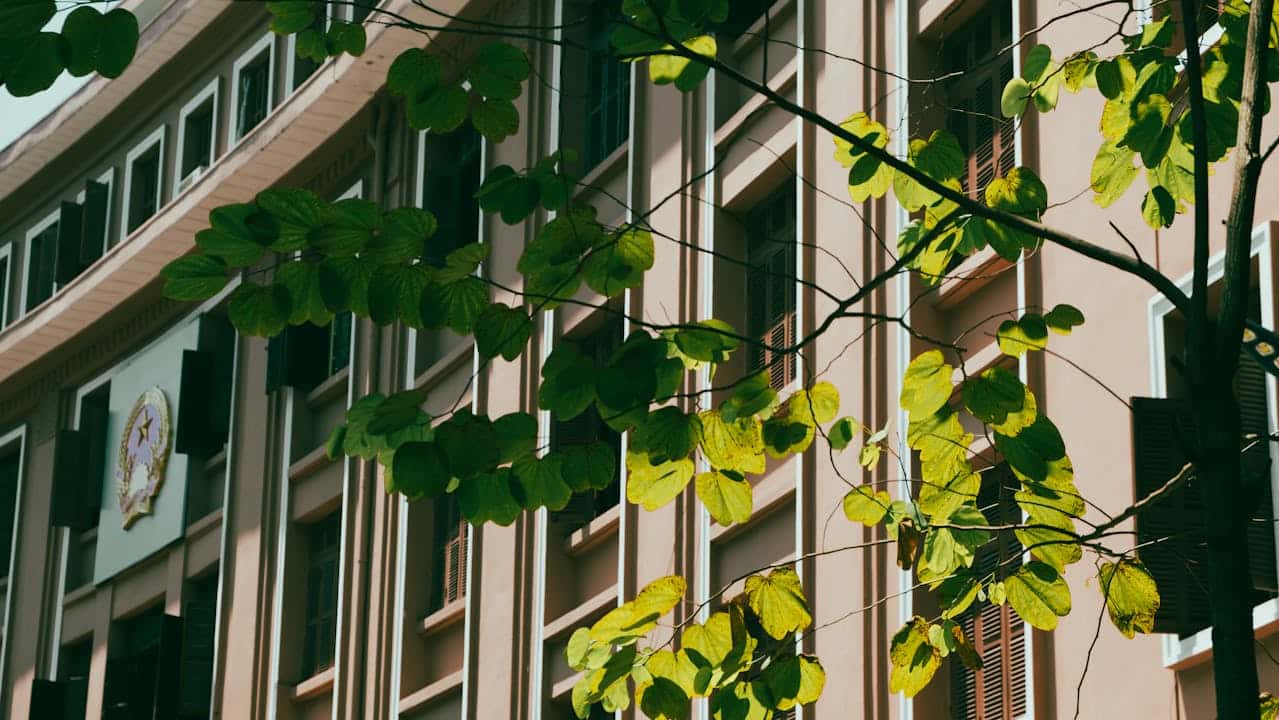 Sustainable Growth Through Internal Capability Building