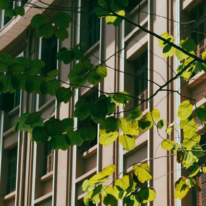 Sustainable Growth Through Internal Capability Building