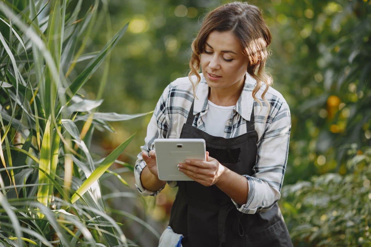 How AI Is Transforming Modern Farming