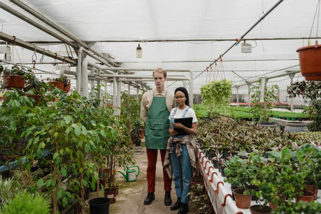The Rise of Intelligent Agriculture
